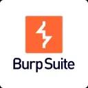 /assets/tools/webp/burp-suite.webp