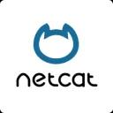 netcat.webp