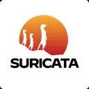 suricata.webp