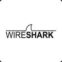 wireshark.webp